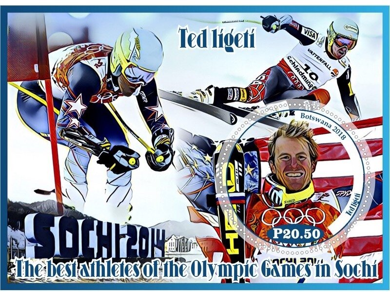Sport The best athletes of the Olympic Games in Sochi
