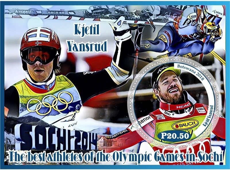 Sport The best athletes of the Olympic Games in Sochi