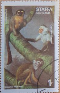 Stamp, Squirrel Monkey, Cinderellas,  , Animals (Fauna), Mammals, Monkeys