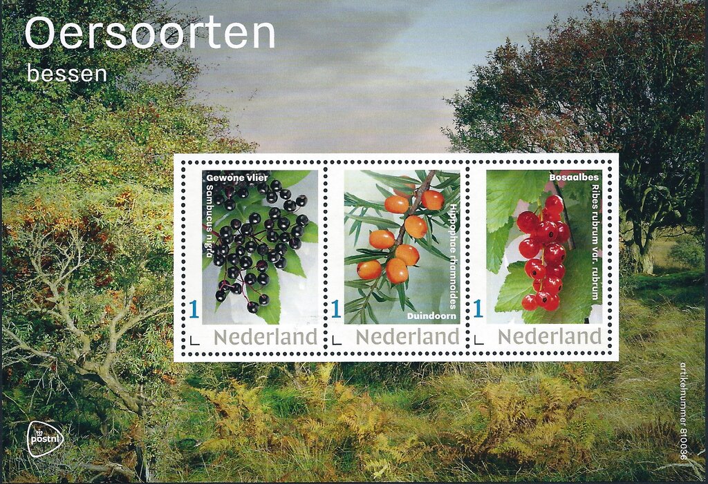 Primal Species - Berries