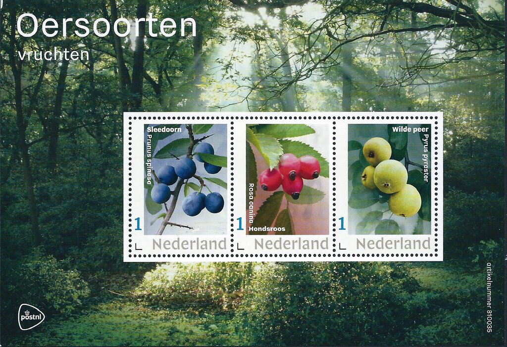 Primal Species - Fruits
