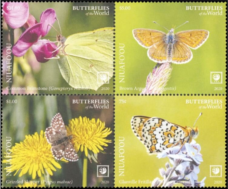 Butterflies of the World