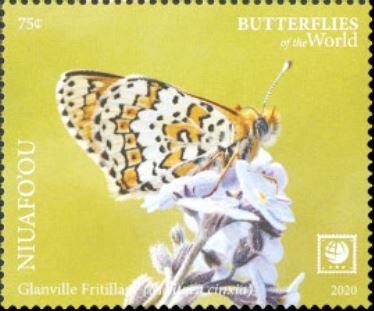 Glanville Fritillary (Melitaea cinxia)