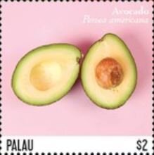 Avocado (Persea americana)
