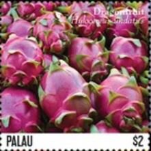 Stamp, Hylocereus undatus, Palau,  , Fruits, Vegetables