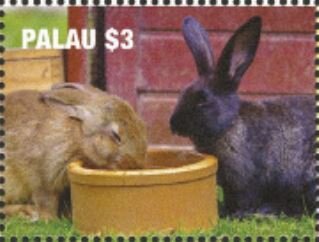 Rabbits