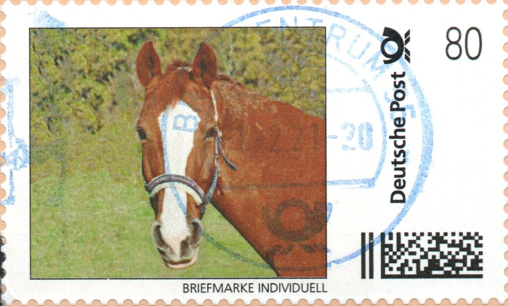 Horse