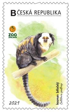 Stamp, Kosman běločelý, Personalized and Private Mail Stamps,  , Animals (Fauna), Anniversaries and Jubilees, Monkeys, Zoos