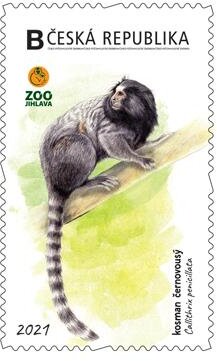 Stamp, Kosman černovousý, Personalized and Private Mail Stamps,  , Animals (Fauna), Anniversaries and Jubilees, Monkeys, Zoos
