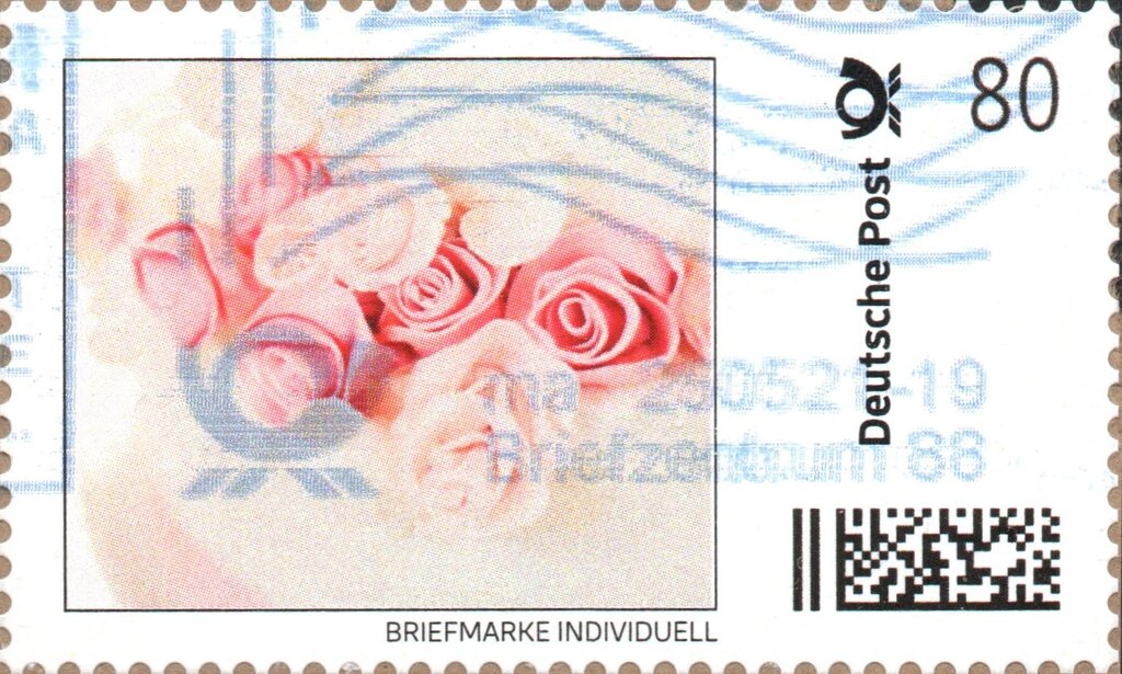 Roses