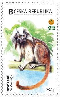 Stamp, Tamarín pinčí, Personalized and Private Mail Stamps,  , Animals (Fauna), Anniversaries and Jubilees, Monkeys, Zoos