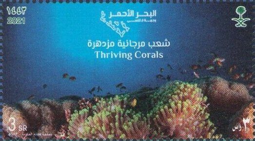 Regenerative Tourism in Saudi Arabia