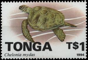 Stamp, Green sea Turtle (Chelonia mydas), Tonga,  , Animals (Fauna), Reptiles, Sea Life, Turtles