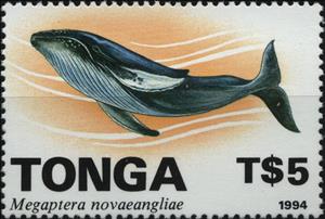 Stamp, Humpback whale (Megaptera novaeangliae), Tonga,  , Animals (Fauna), Sea (Marine) Mammals, Sea Life, Whales