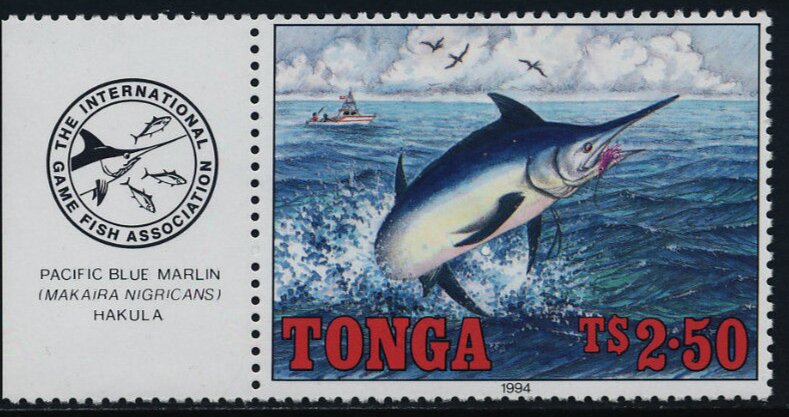 Pacific blue Marlin (Makaira nigrans)