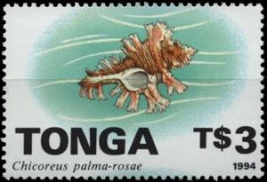 Stamp, Rose-branch Murex (Chicoreus palma-rosae), Tonga,  , Animals (Fauna), Sea Life, Shells