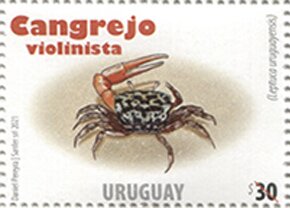 Stamp, Uruguayan Fiddler Crab (Leptuca uruguayensis), Uruguay,  , Animals (Fauna), Crabs