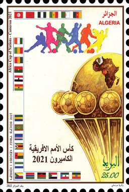 Africa Cup Of Nations Football Championships, Cameroun