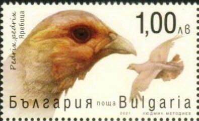 Stamp, Pedrix pedrix, Bulgaria,  , Animals (Fauna), Birds