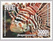 Antennae Lionfish (Pterois antennata)