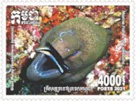 Stamp, Giant Moray (Gymnothorax javanicus), Cambodia,  , Fishes