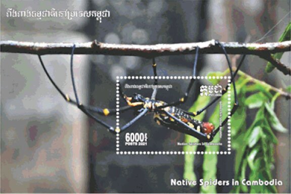 Nephila cavipes