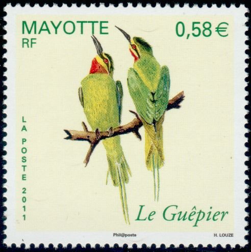 Olive Bee-eater (Merops superciliosus)