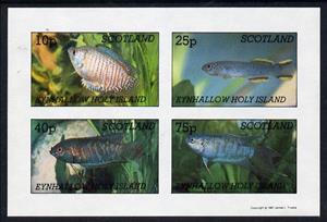 Mini Sheet, Animals, Cinderellas,  , Animals (Fauna), Fishes