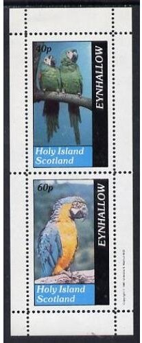 Birds