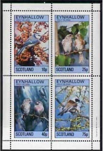Birds
