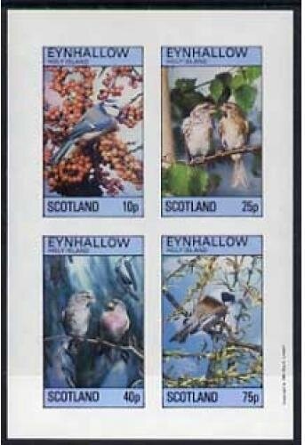 Birds