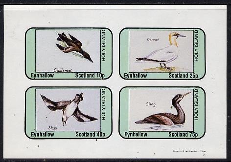 Birds