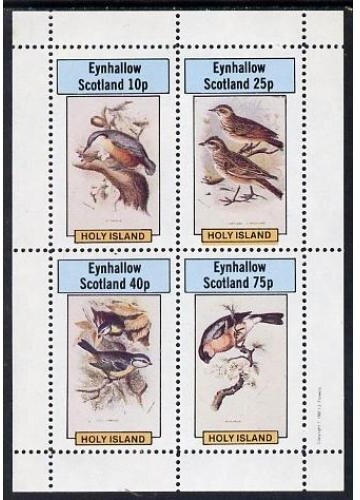 Birds