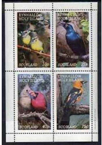 Birds