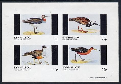 Birds