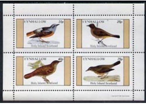 Birds