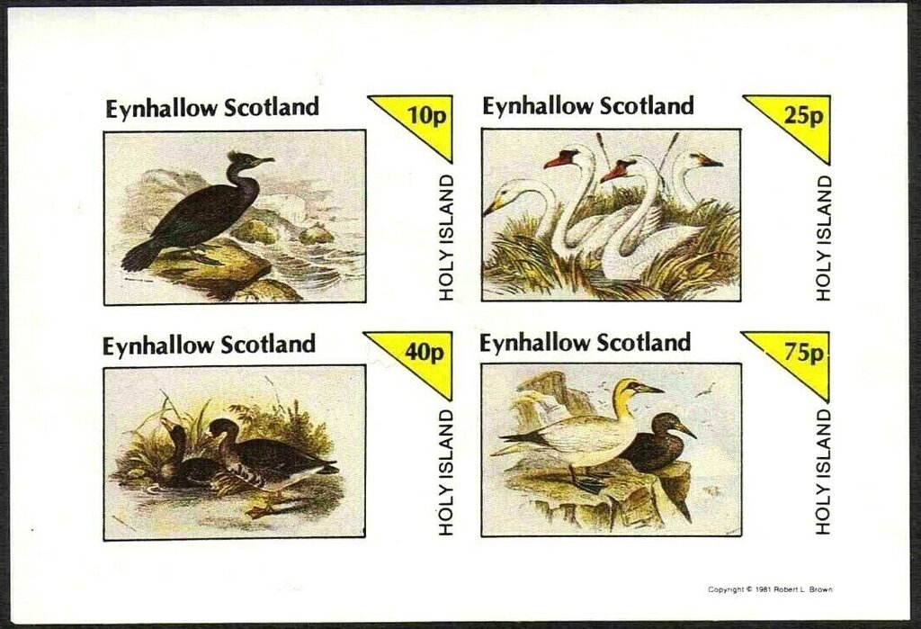 Birds