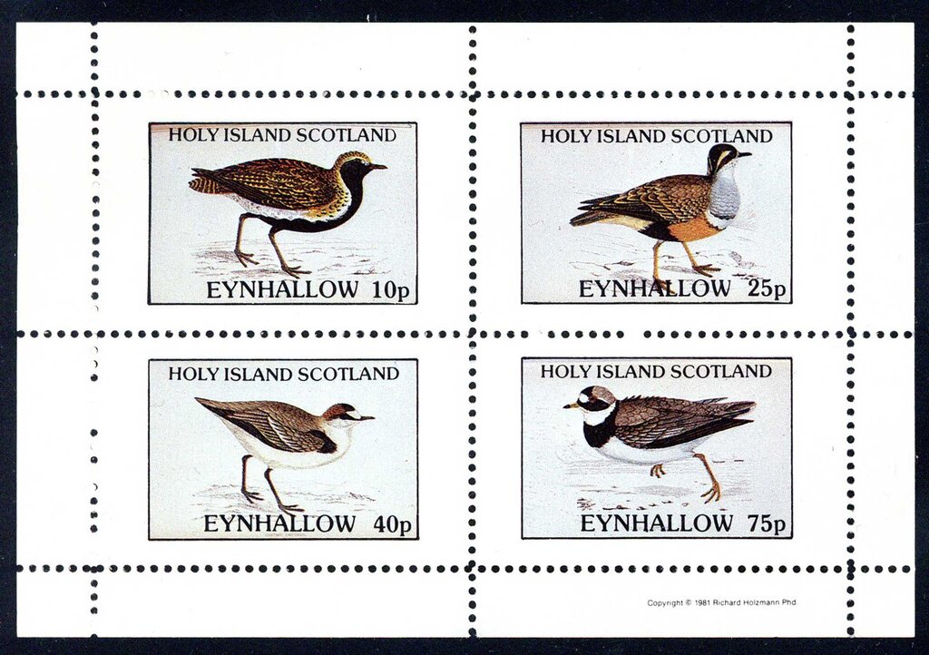 Birds
