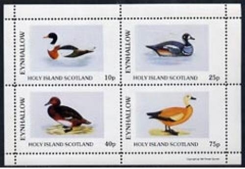 Birds