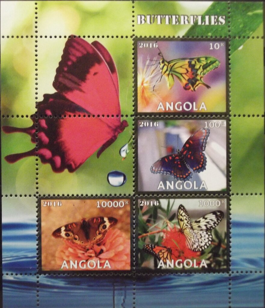 Butterflies
