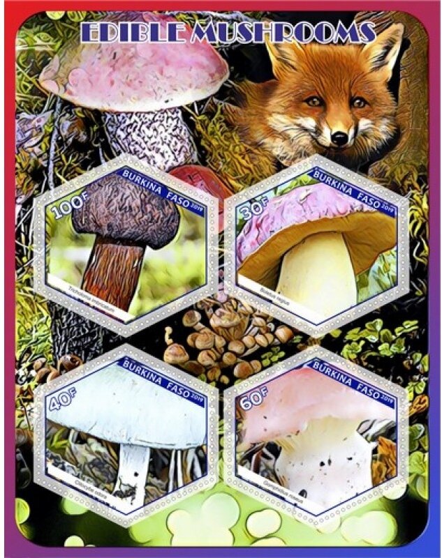 Edible mushrooms