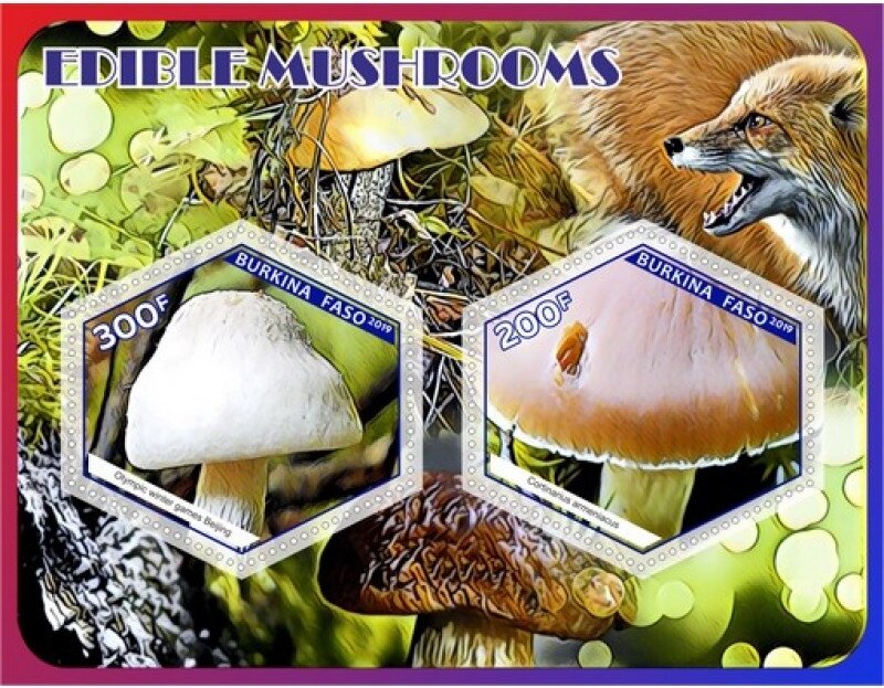 Edible mushrooms
