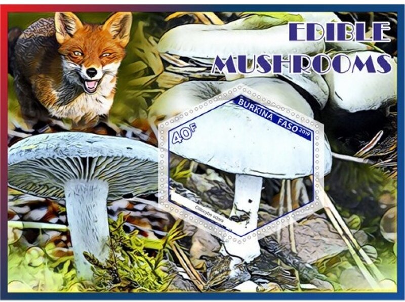 Edible mushrooms