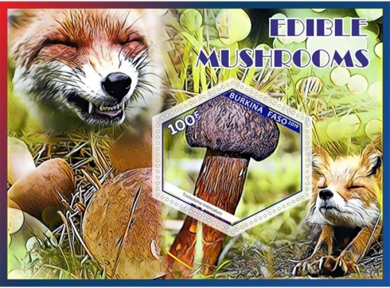 Edible mushrooms