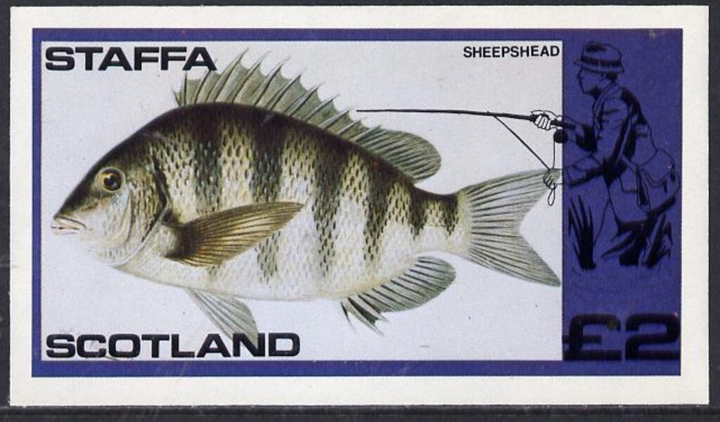 Fishes