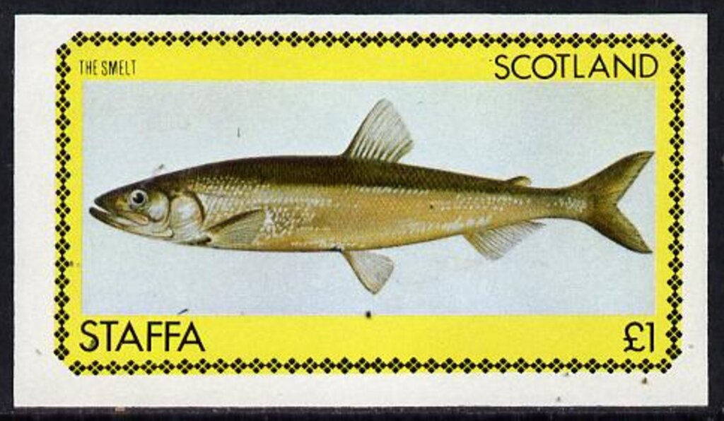 Fishes
