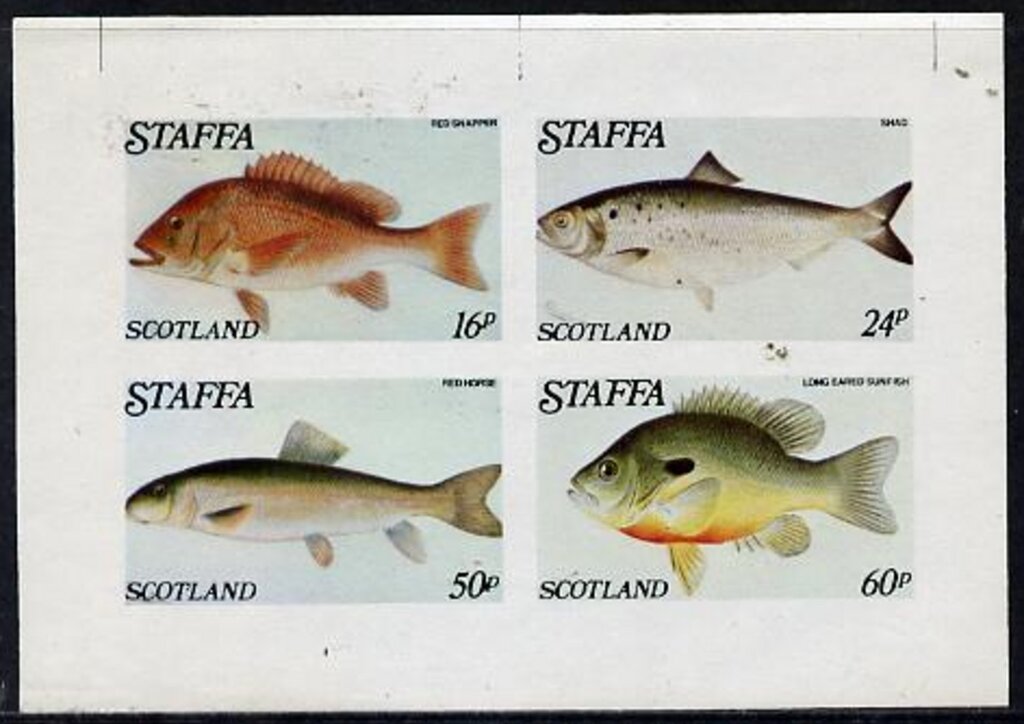 Fishes