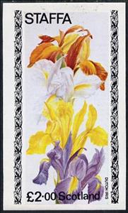 Souvenir Sheet, Flowers, Cinderellas,  , Flowers