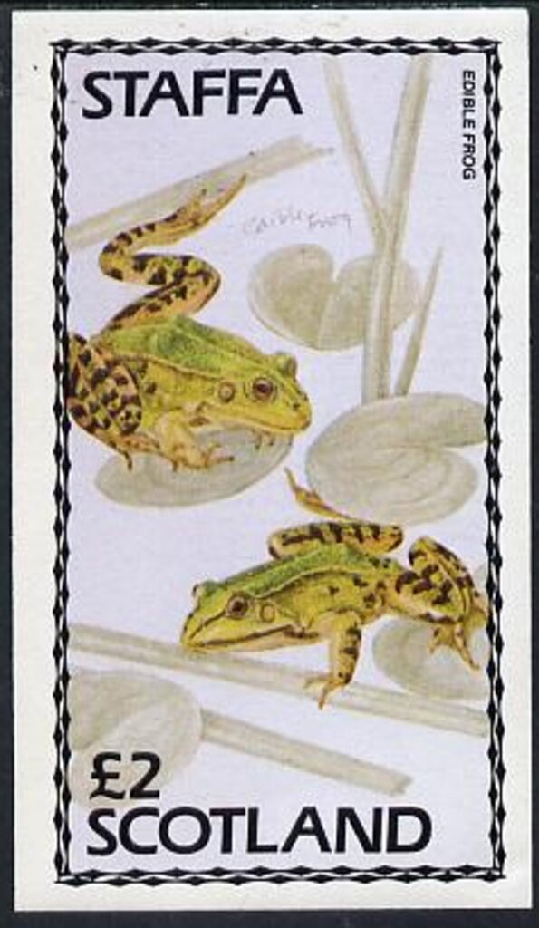 Frogs