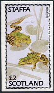 Souvenir Sheet, Frogs, Cinderellas,  , Animals (Fauna), Frogs